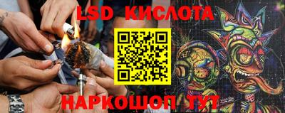 сатива Бугуруслан