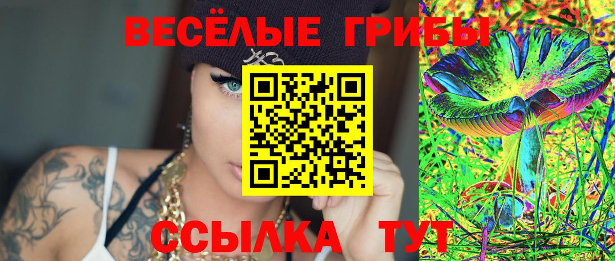 Псилоцибиновые грибы мухоморы Нальчик